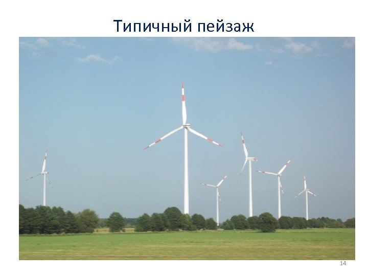 Типичный пейзаж 14 