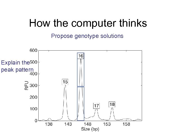 How the computer thinks Propose genotype solutions Explain the peak pattern 