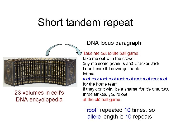 Short tandem repeat DNA locus paragraph 23 volumes in cell's DNA encyclopedia Take me