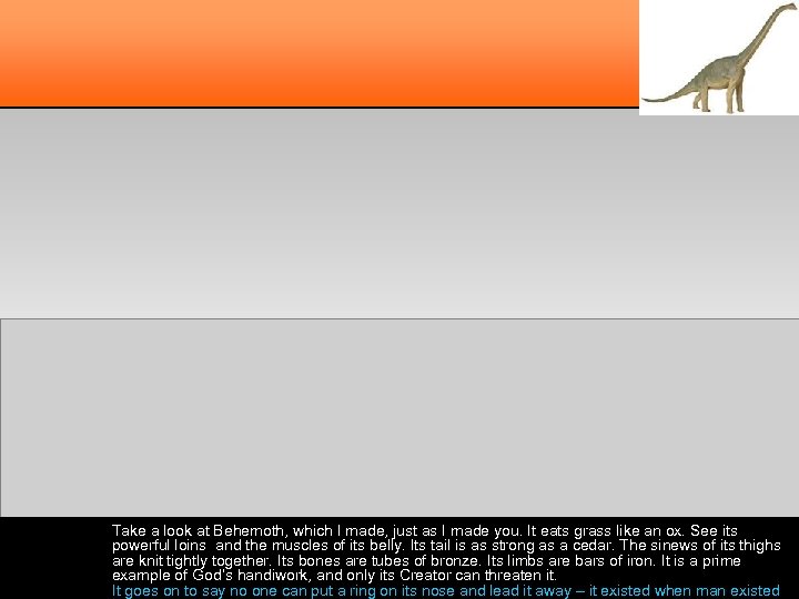 Take a look at Behemoth, which I made, just as I made you. It