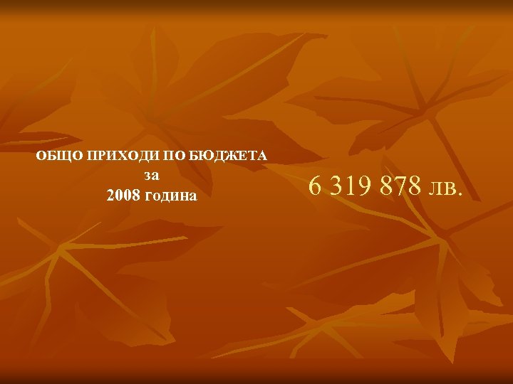 ОБЩО ПРИХОДИ ПО БЮДЖЕТА за 2008 година 6 319 878 лв. 