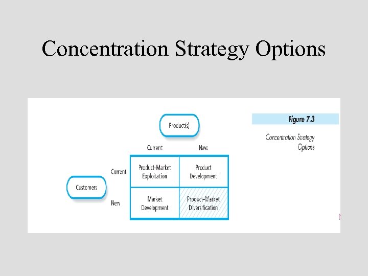 Concentration Strategy Options 