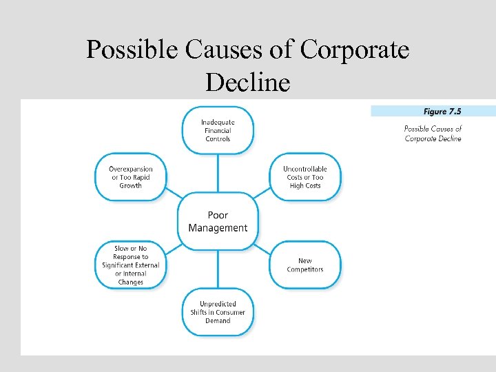 Possible Causes of Corporate Decline 