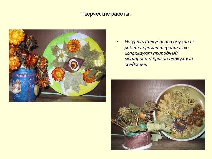 Творческие работы. • На уроках трудового обучения ребята проявляя фантазию используют природный материал и