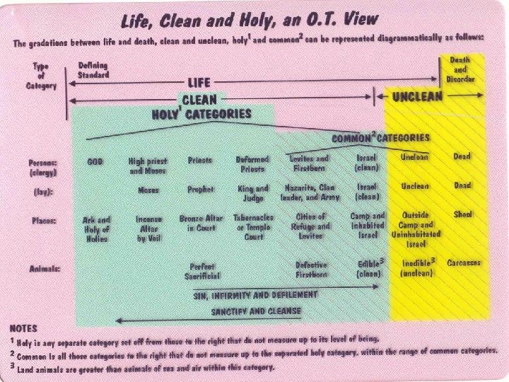 Outline of Leviticus 