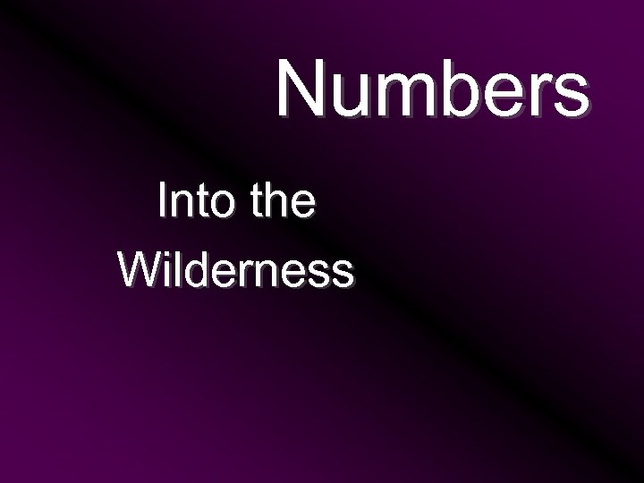 Numbers Into the Wilderness 