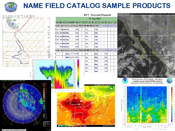 NAME FIELD CATALOG SAMPLE PRODUCTS 