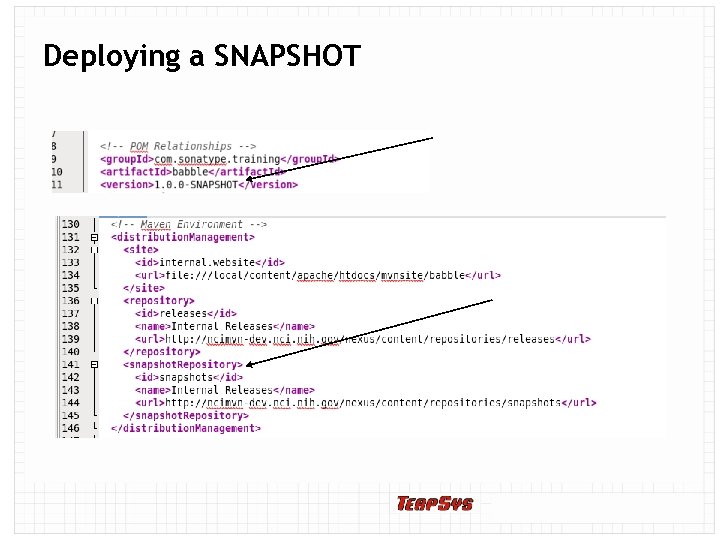 Deploying a SNAPSHOT 