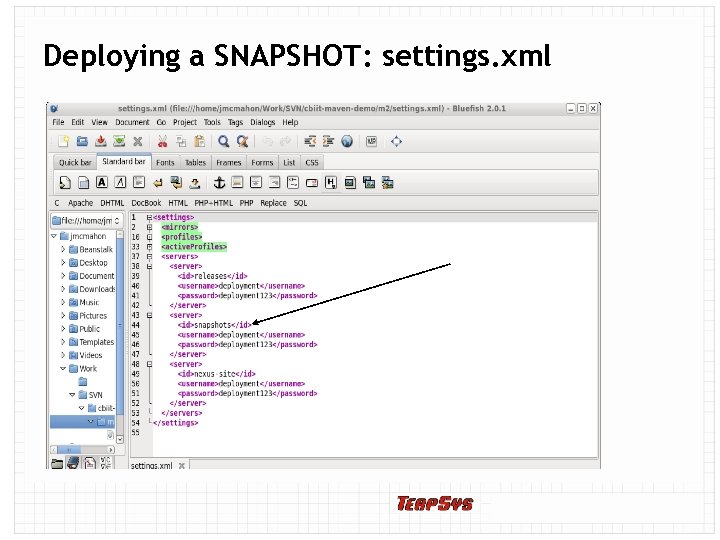 Deploying a SNAPSHOT: settings. xml 