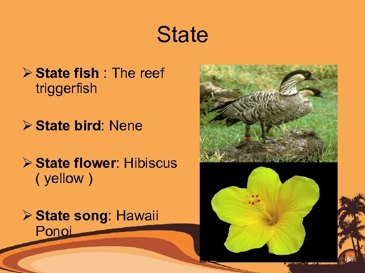 State Ø State fish : The reef triggerfish Ø State bird: Nene Ø State