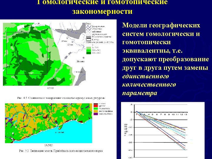 Гомологические и гомотопические закономерности Модели географических систем гомологически и гомотопически эквивалентны, т. е. допускают
