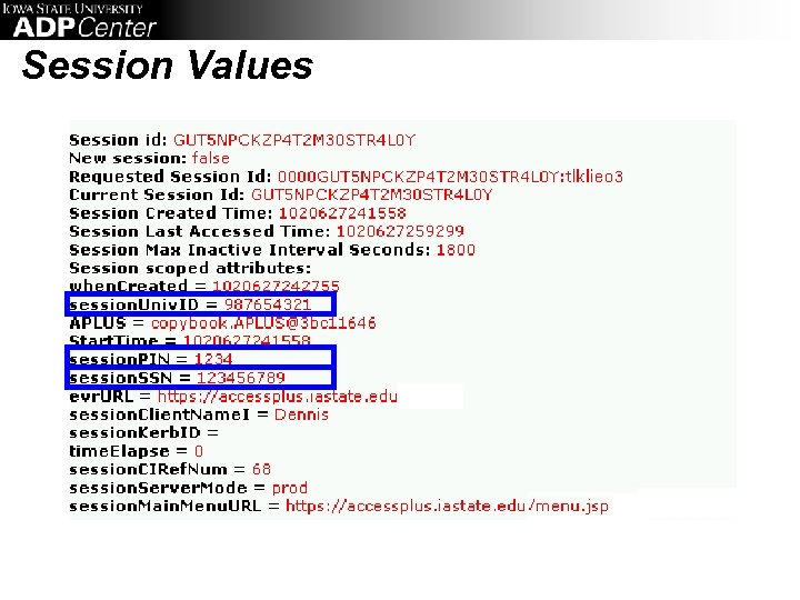 Session Values 