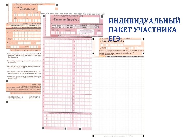 ИНДИВИДУАЛЬНЫЙ ПАКЕТ УЧАСТНИКА ЕГЭ 