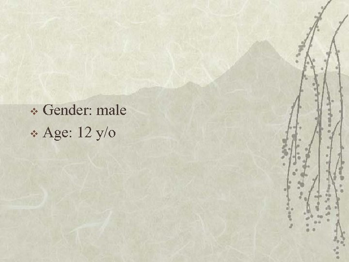 Gender: male v Age: 12 y/o v 