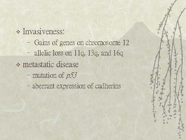 v Invasiveness: – Gains of genes on chromosome 12 – allelic loss on 11