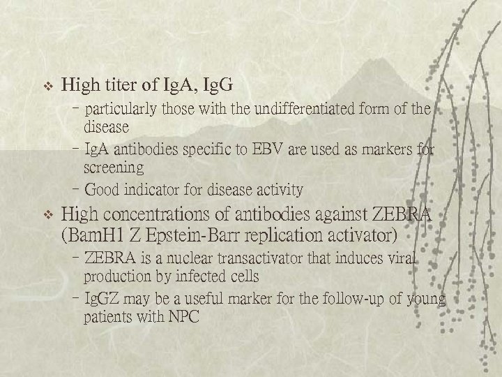 v High titer of Ig. A, Ig. G –particularly those with the undifferentiated form