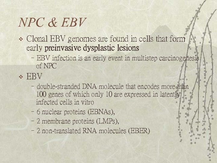 NPC & EBV v Clonal EBV genomes are found in cells that form early