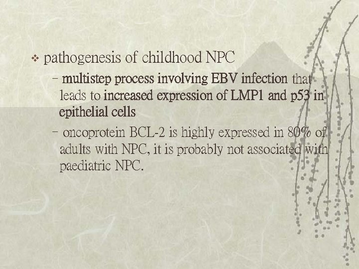 v pathogenesis of childhood NPC –multistep process involving EBV infection that leads to increased