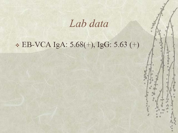 Lab data v EB-VCA Ig. A: 5. 68(+), Ig. G: 5. 63 (+) 