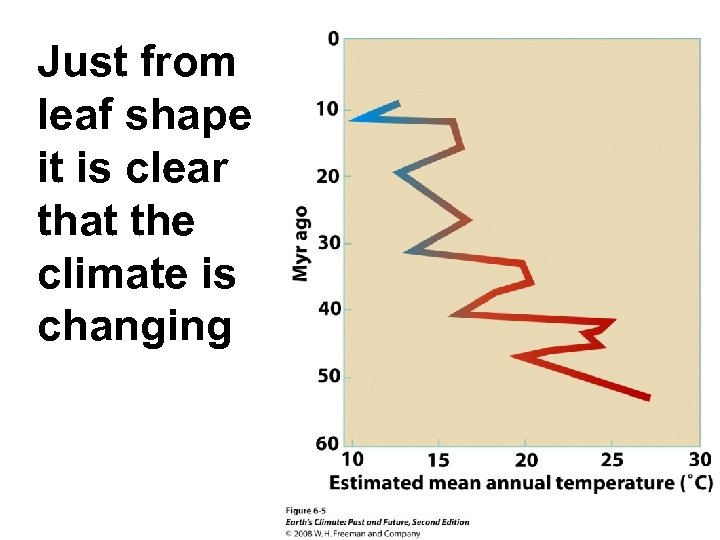 Just from leaf shape it is clear that the climate is changing 