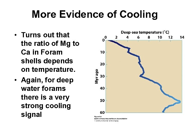 More Evidence of Cooling • Turns out that the ratio of Mg to Ca