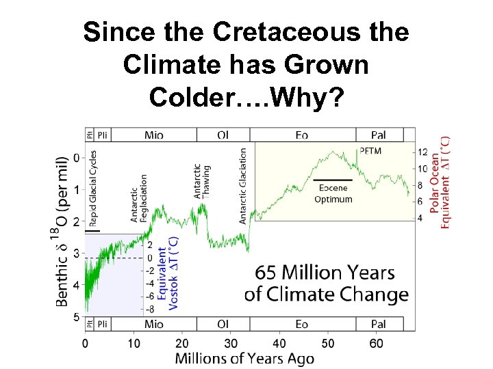 Since the Cretaceous the Climate has Grown Colder…. Why? 