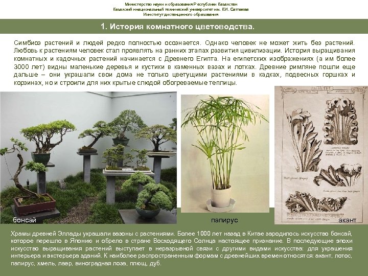 Министерство науки и образования Республики Казахстан Казахский ннациональный технический университет им. К. И. Сатпаева