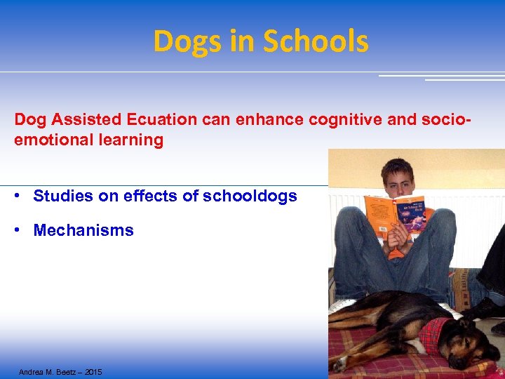 Dogs in Schools Dog Assisted Ecuation can enhance cognitive and socioemotional learning • Studies