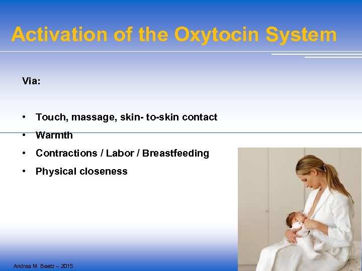 Activation of the Oxytocin System Via: • Touch, massage, skin- to-skin contact • Warmth