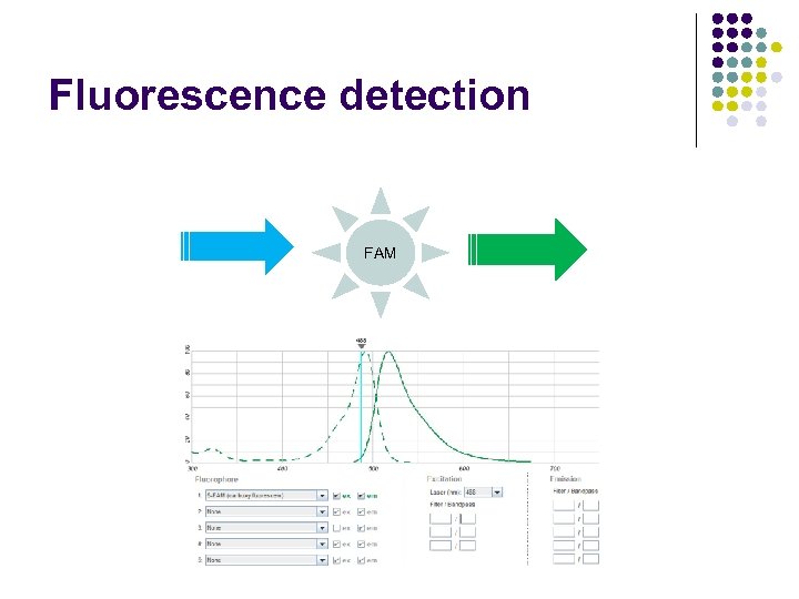 Fluorescence detection FAM 