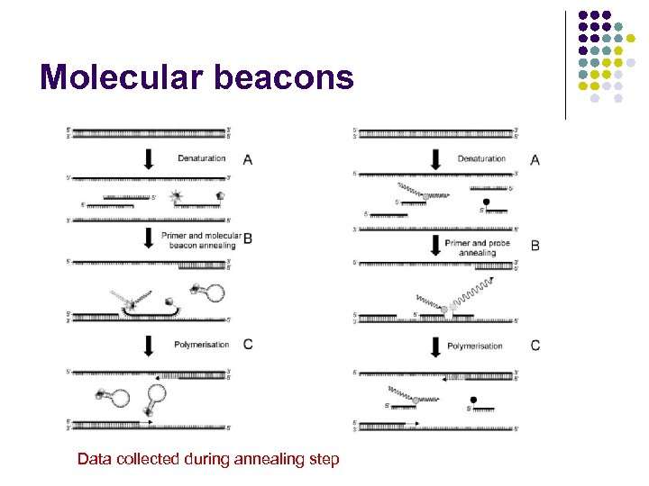 Molecular beacons Data collected during annealing step 