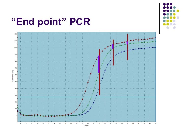 “End point” PCR 