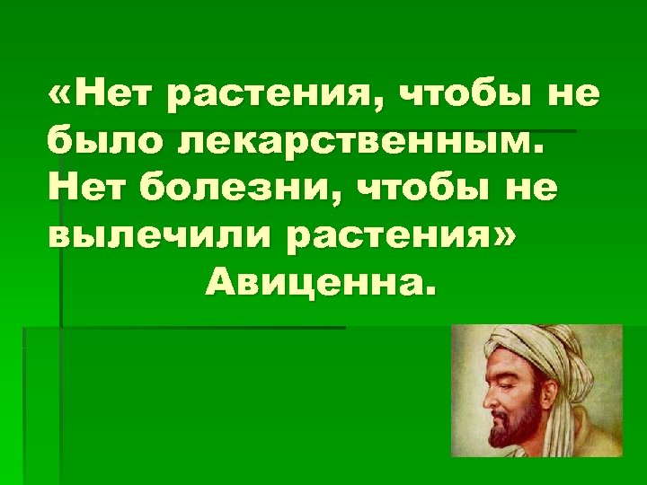  «Нет растения, чтобы не было лекарственным. Нет болезни, чтобы не вылечили растения» Авиценна.