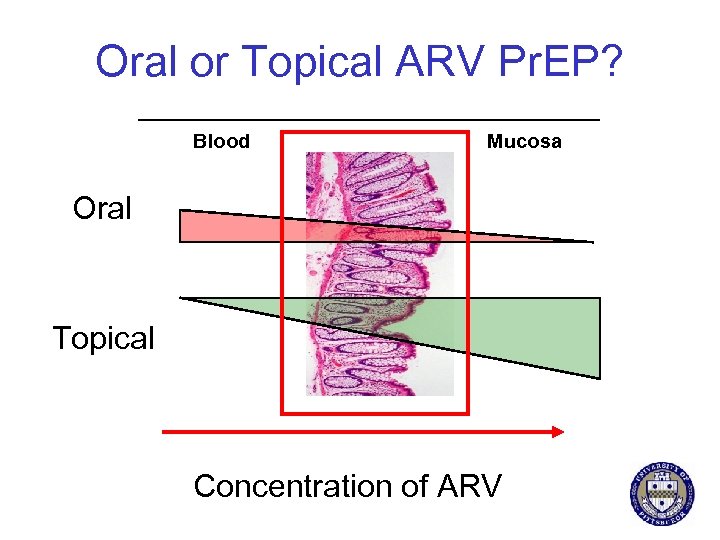 Oral or Topical ARV Pr. EP? Blood Mucosa Oral Topical Concentration of ARV 