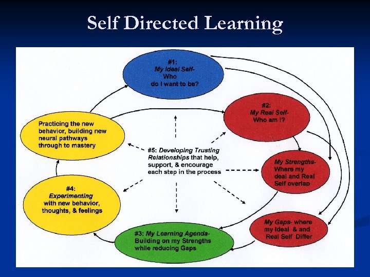 Self Directed Learning 