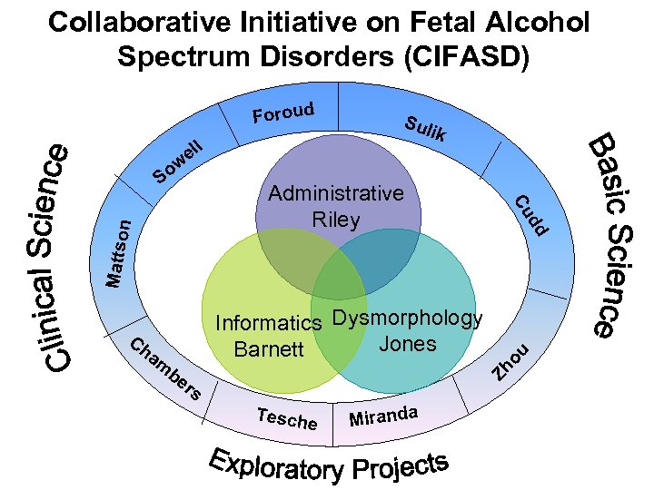Collaborative Initiative on Fetal Alcohol Spectrum Disorders (CIFASD) l el w So Sul ik