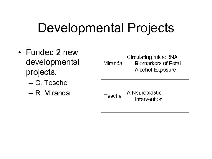 Developmental Projects • Funded 2 new developmental projects. – C. Tesche – R. Miranda