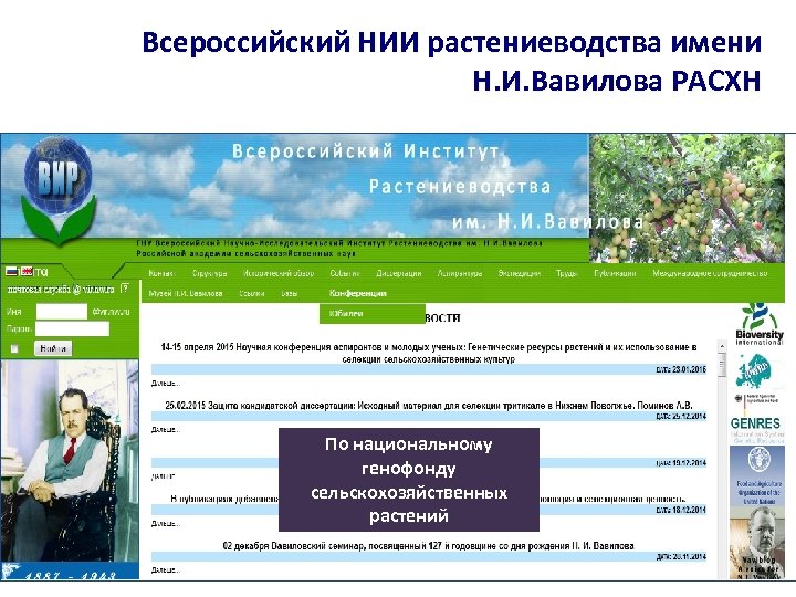 Всероссийский НИИ растениеводства имени Н. И. Вавилова РАСХН По национальному генофонду сельскохозяйственных растений 