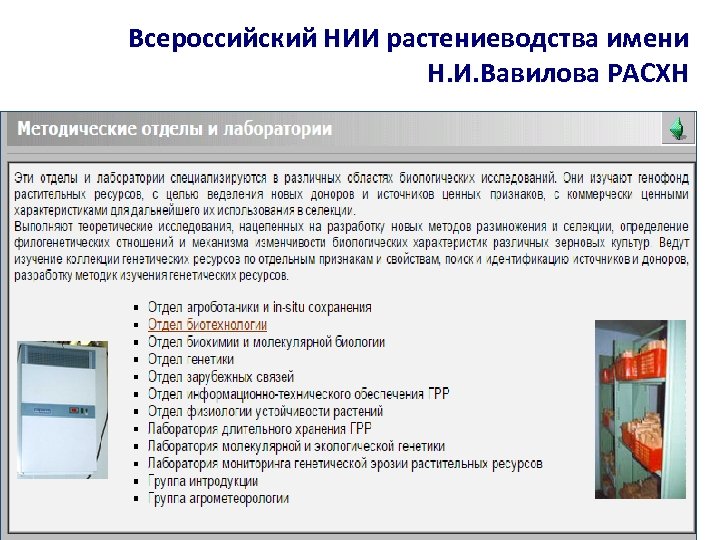 Всероссийский НИИ растениеводства имени Н. И. Вавилова РАСХН 