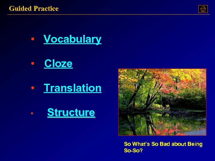 Guided Practice • Vocabulary • Cloze • Translation • Structure So What’s So Bad