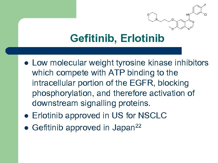 Gefitinib, Erlotinib l l l Low molecular weight tyrosine kinase inhibitors which compete with