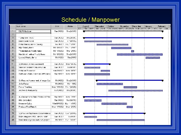 Schedule / Manpower 