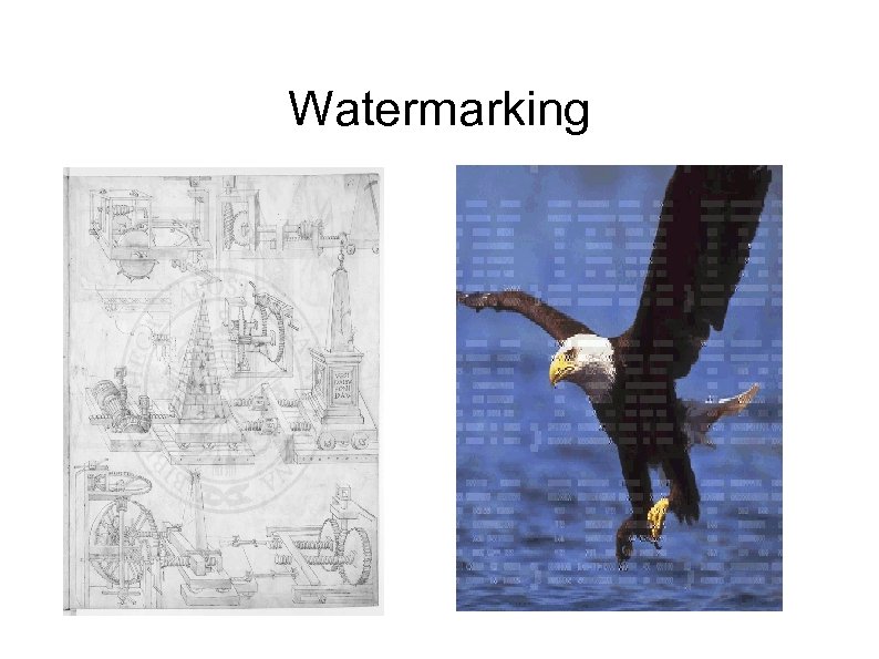 Watermarking 