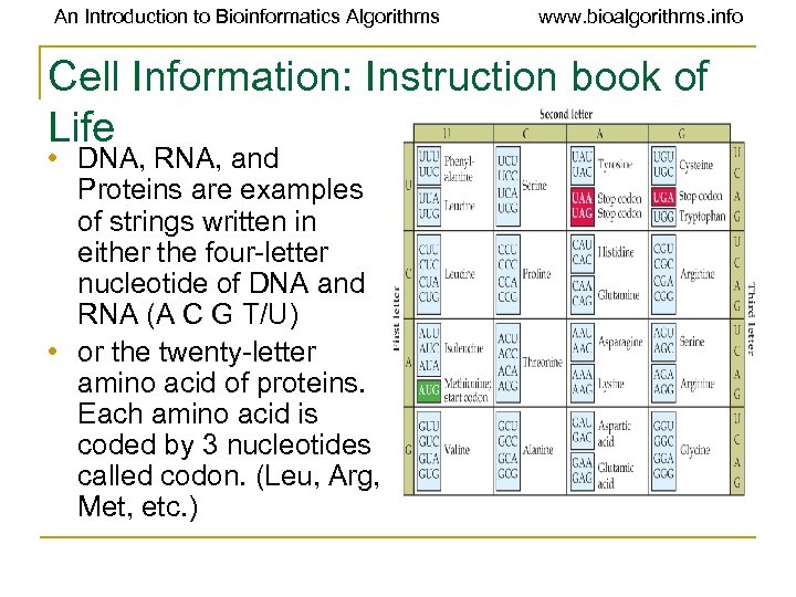 An Introduction to Bioinformatics Algorithms www. bioalgorithms. info Cell Information: Instruction book of Life