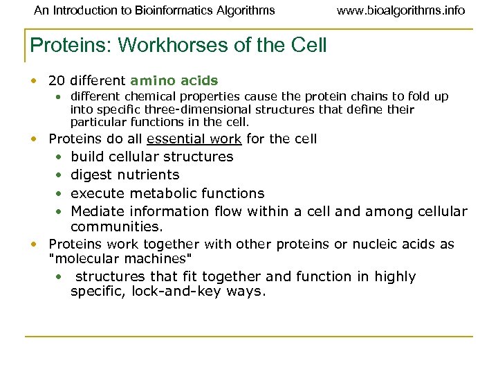 An Introduction to Bioinformatics Algorithms www. bioalgorithms. info Proteins: Workhorses of the Cell •