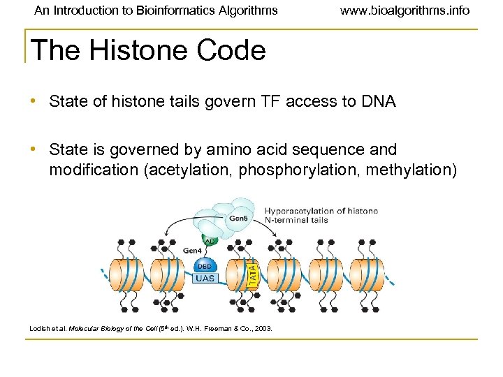 An Introduction to Bioinformatics Algorithms www. bioalgorithms. info The Histone Code • State of