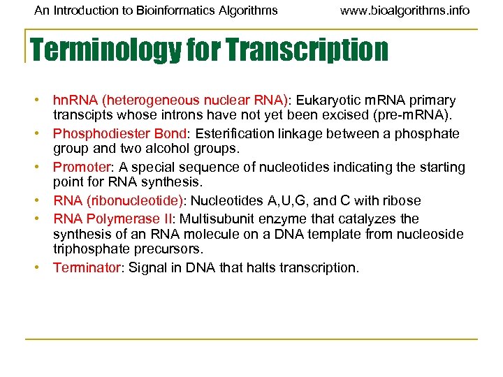 An Introduction to Bioinformatics Algorithms www. bioalgorithms. info Terminology for Transcription • hn. RNA