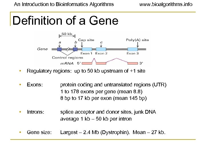 An Introduction to Bioinformatics Algorithms www. bioalgorithms. info Definition of a Gene • Regulatory