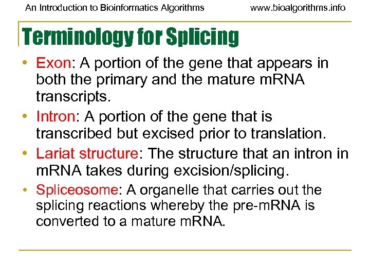 An Introduction to Bioinformatics Algorithms www. bioalgorithms. info Terminology for Splicing • Exon: A