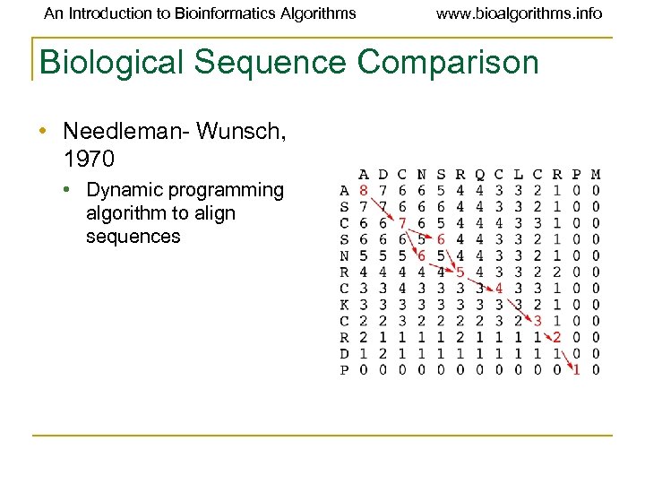 An Introduction to Bioinformatics Algorithms www. bioalgorithms. info Biological Sequence Comparison • Needleman- Wunsch,